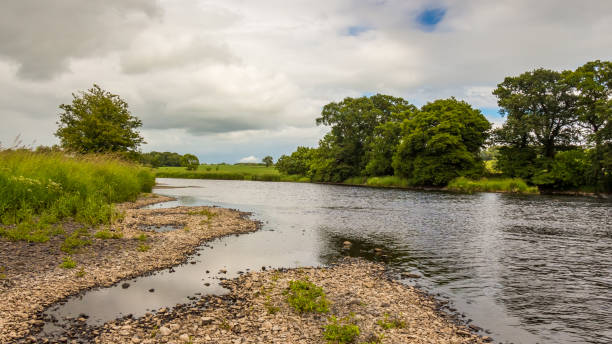 uma barra de cascalho e pouca água em um rio escocês no verão - river annan - fotografias e filmes do acervo