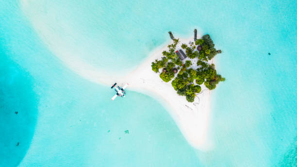 istock Picnic in Maldives 1262302332