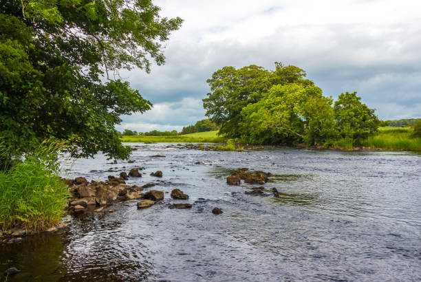 um riffle rochoso sob árvores em um dia de verão no rio dee, galloway, escócia - river annan - fotografias e filmes do acervo