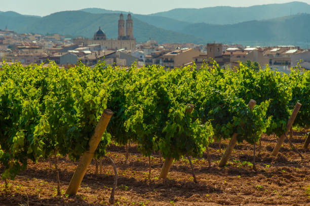 istock View on the city Sant Pere de Ribes 1262302559