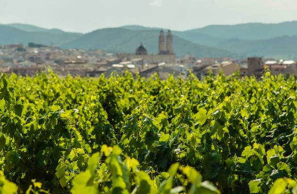 istock View on the city Sant Pere de Ribes 1262302560
