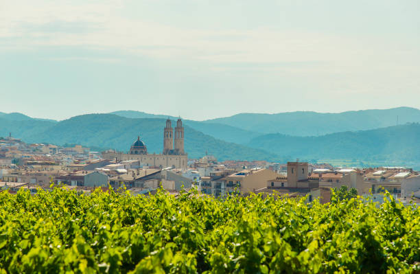 View on the city Sant Pere de Ribes