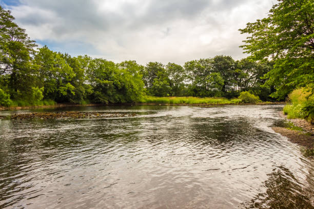wysadzany drzewami basen na rzece dee w niskiej wodzie w lecie, szkocja - river annan zdjęcia i obrazy z banku zdjęć