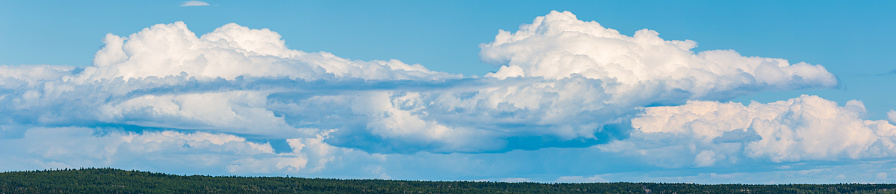 panorama of a large Cumulus cloud. beautiful background