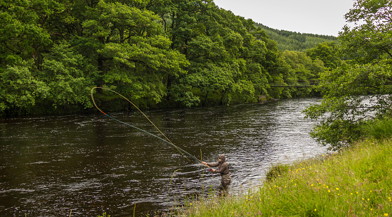 A fisherman spey casting for salmon using a fly rod on the River Orchy, Argyll, Scotland