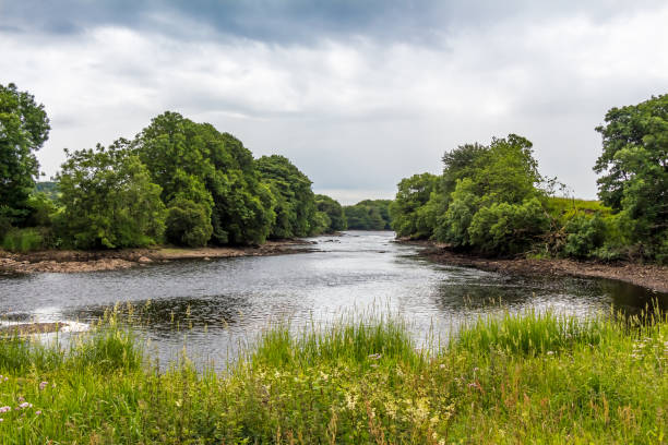 olhando rio abaixo no rio dee em um dia nublado de verões em galloway, escócia - river annan - fotografias e filmes do acervo