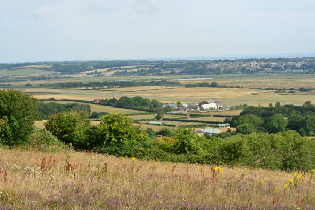 istock Bembridge down on the isle of Wight 1262311986