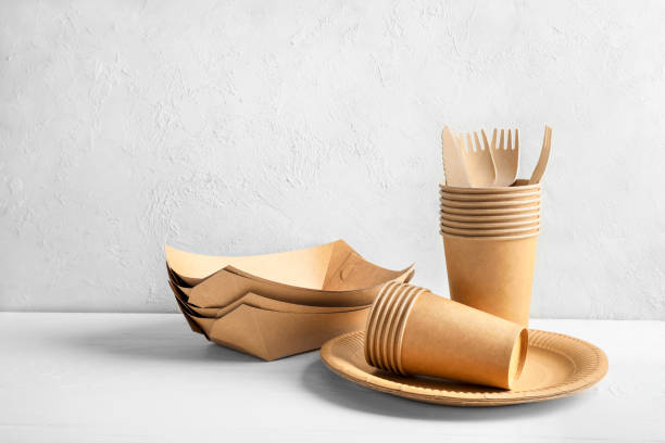 istock Eco friendly fast food containers 1262313259