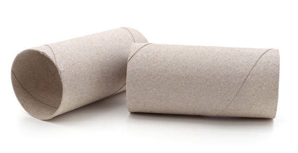 istock Ended toilet paper. 1262315376