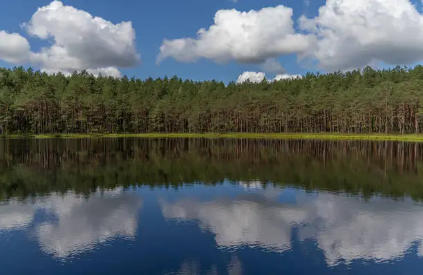 Photo of Stunning lakeside landscapes in the Aukstaitija National Park, Lithuania. Lithuania's first national park.