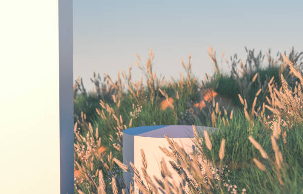 istock Natural beauty 3d podium backdrop with wild flower grass field background. 1262317343