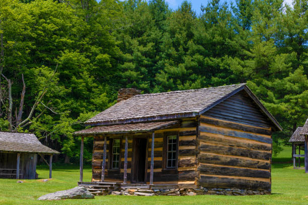 istock Grayson Highlands State Park in Virginia 1262317539