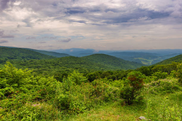 istock Grayson Highlands State Park in Virginia 1262318794