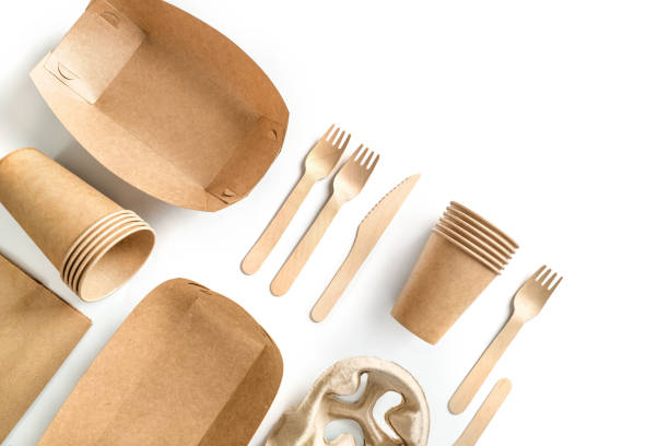 istock Eco friendly fast food containers 1262318863