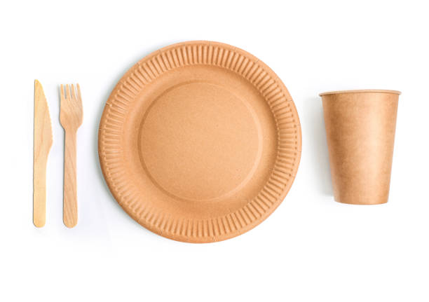 Eco friendly fast food containers
