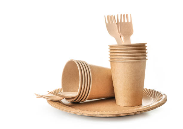 Eco friendly fast food containers