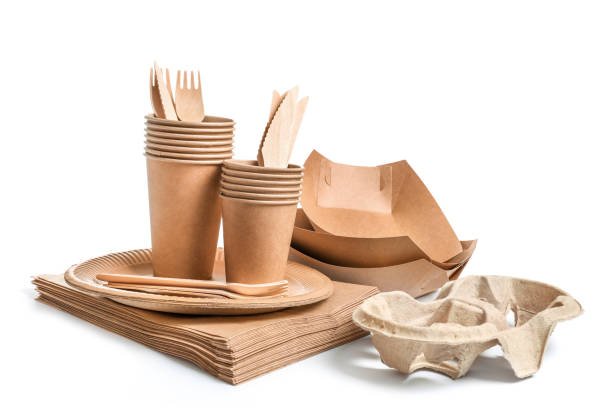 istock Eco friendly fast food containers 1262321658