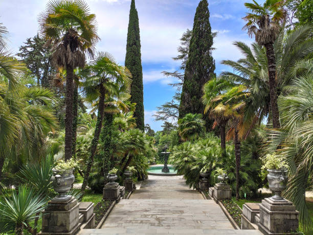 Park with staircase and tropical trees Panoramic view of park with staircase and tropical trees and palms. Travel destination in Sochi Dendrarium in Russia sochi stock pictures, royalty-free photos & images