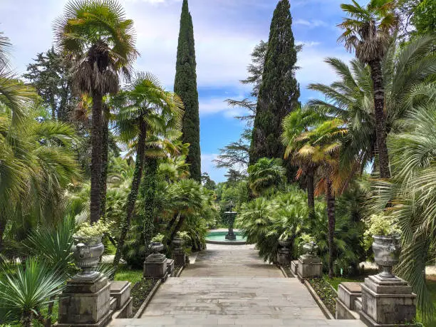 Panoramic view of park with staircase and tropical trees and palms. Travel destination in Sochi Dendrarium in Russia