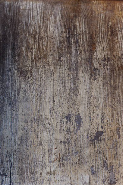 istock Old Wood Texture/ Wood Texture 1262330403
