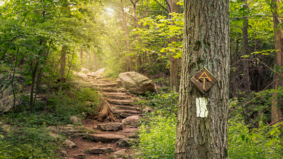 Rock Steps Along The Appalachian Trail In Stokes State Forest New Jersey  Stock Photo - Download Image Now - iStock