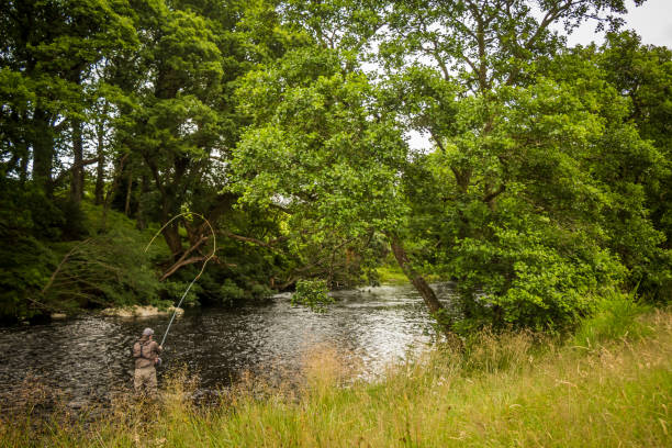 A fisherman spey casting for salmon using a fly rod on the River Minnoch A fisherman spey casting for salmon using a fly rod on the River Minnoch, Newton Stewart, Galloway, Scotland fly fishing scotland stock pictures, royalty-free photos & images