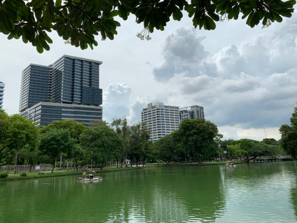 istock Green trees and ponds in the public gardens 1262338527