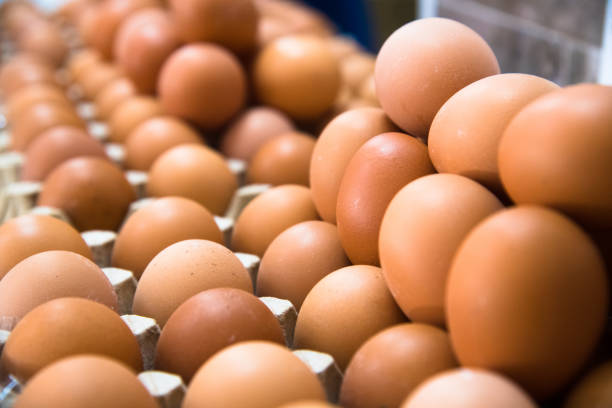 istock Poultry farm. Modern farming. Fresh brown eggs on a transportation line 1262340057
