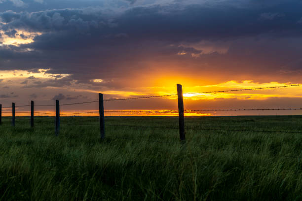Midwest sunset on farmland A beautiful sunset in rural Midwest farmland highlighted by barbed wire fencing and tall grass is typical scenery in this part of the United States. barbed wire photos stock pictures, royalty-free photos & images