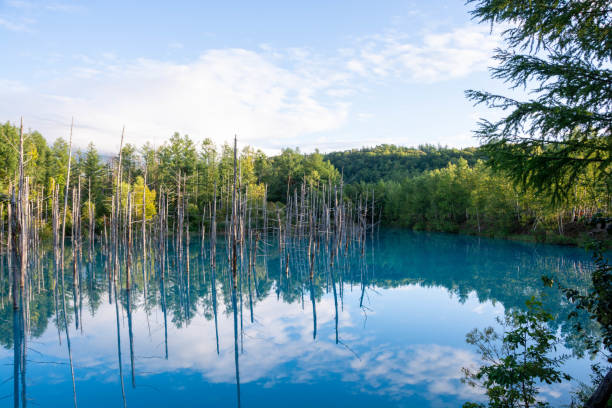 istock Autumn blue pond that reflects the blue sky 1262344769