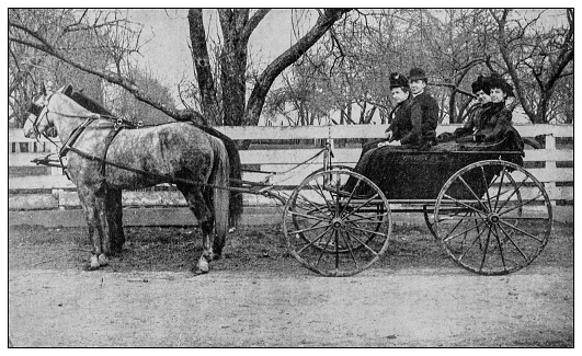 Antique black and white photo: Carriage