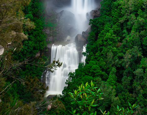 Beautiful flowing River in Fitzroy Falls in Bowral NSW Australia