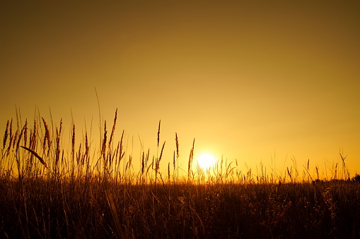 Nature landscape with sunset sky.