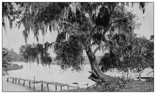 istock Antique black and white photo: Bayou, Mississippi 1262358715