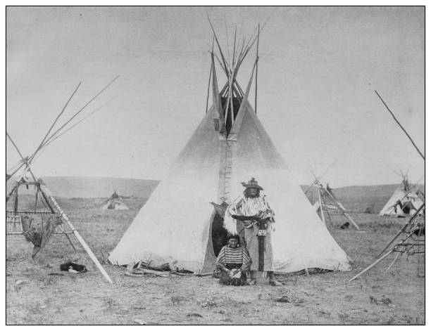 ilustrações, clipart, desenhos animados e ícones de foto antiga em preto e branco: acampamento nativo na reserva sarcee - north american tribal culture fotos