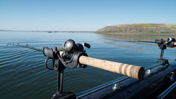 istock Trolling Fishing Poles 1262362194