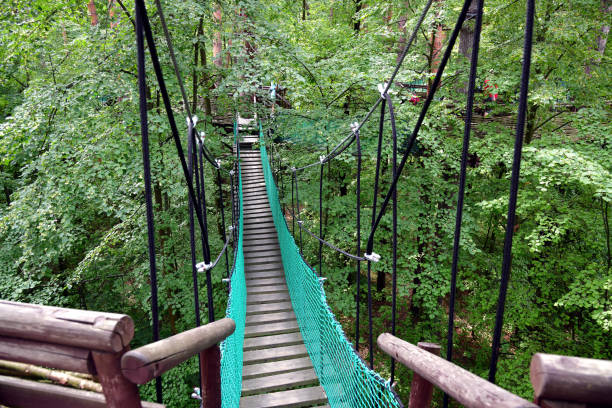 istock Suspension bridge among the trees in the forest. 1262369799