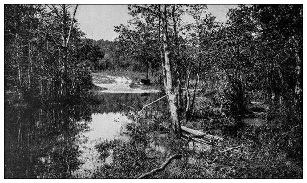 istock Antique black and white photo: Environs of Mobile, Alabama 1262376422