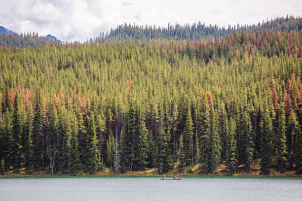 istock Maligne Lake - Jasper National Park 1262378376