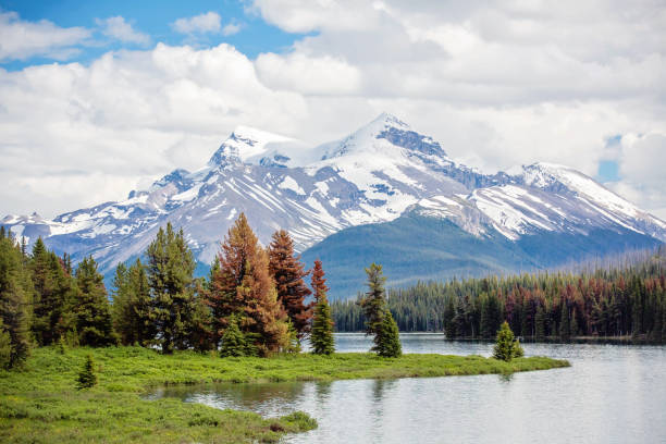 istock Maligne Lake - Jasper National Park 1262378476