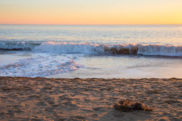istock Romantic sunset light on the shore and wave on a winter evening 1262378691