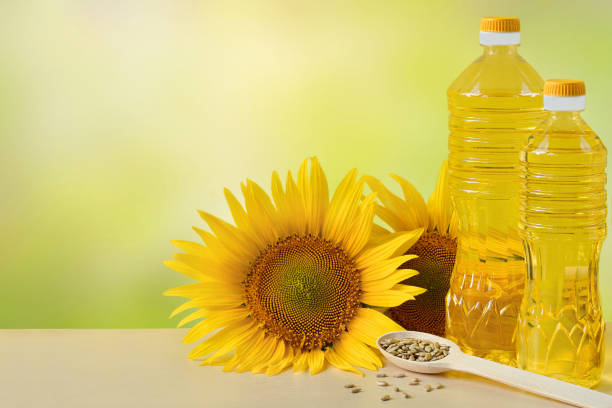 óleo de girassol em garrafas, sementes e flores de girassol fecham com espaço de cópia para texto - plant oil - fotografias e filmes do acervo