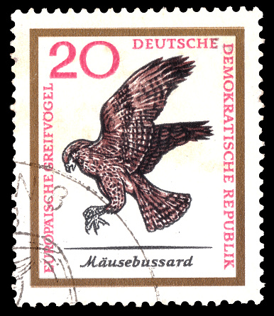 Gemany (DDR)  - CIRCA Decembere 08, 1965:  A stamp printed in Eastern Germany - DDR shows birds of prey of Europe- Birds of Prey serie, circa 1965