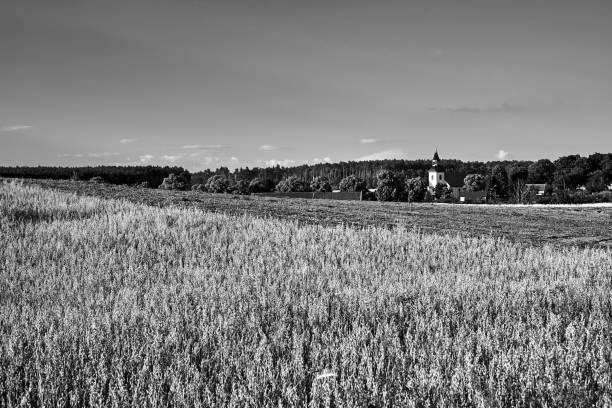 istock A rural landscape with arable fields, a bell tower and a forest in summer 1262386506