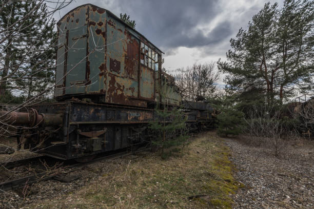 istock old train in a natural landscape 1262394989