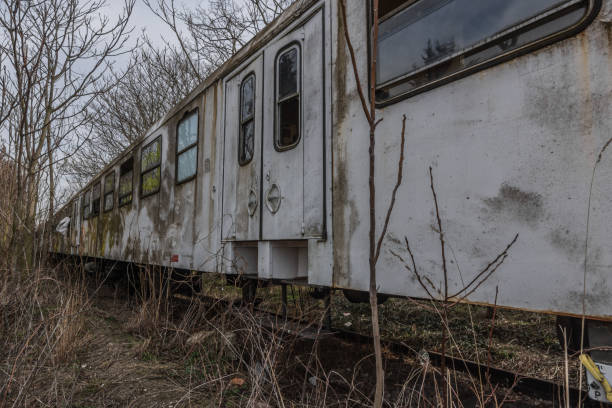 istock waggon with tueren detail 1262396226