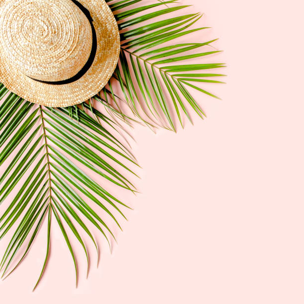 istock Summer background. Tropical palm leaf branches, straw hat on pink background with empty space for text. Travel vacation concept. Flat lay, top view 1262396445