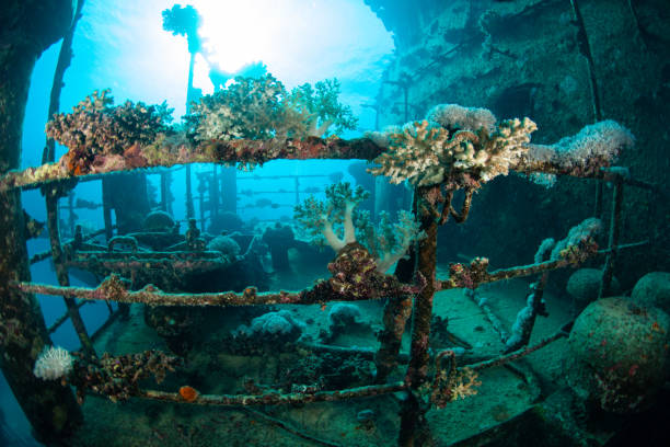 istock Ship wreck, underwater wreck, battleship wreck , fisher boat wreck 1262396531