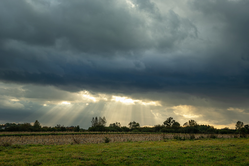 Dark cloud and sunshine, green field, evening summer view