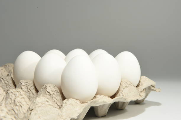 A bunch of eggs in an egg tray Eggs arranged neatly in an egg tray sabby stock pictures, royalty-free photos & images